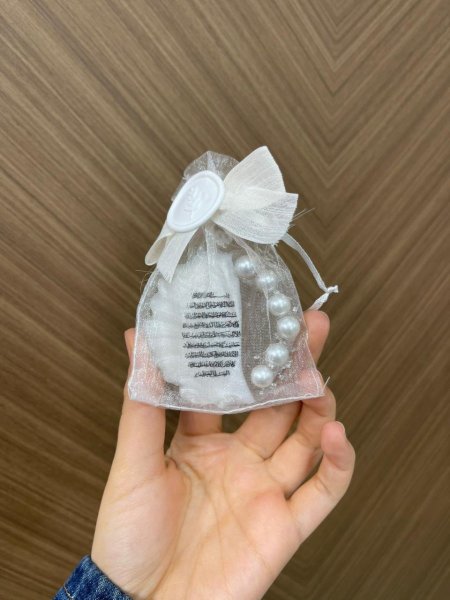 ريزن لولو مغناطيس مع كيس